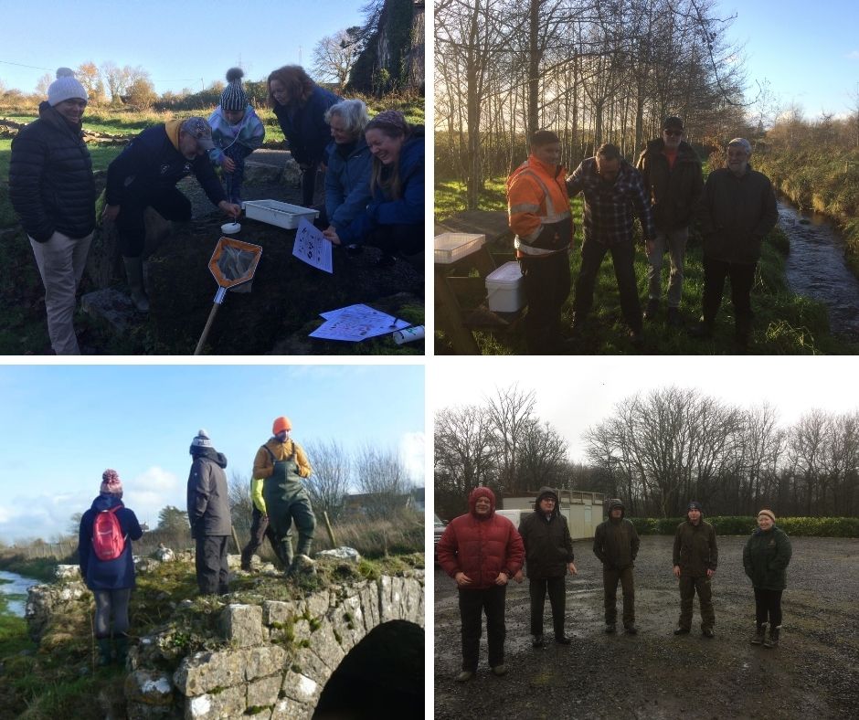 east galway, biodiversity