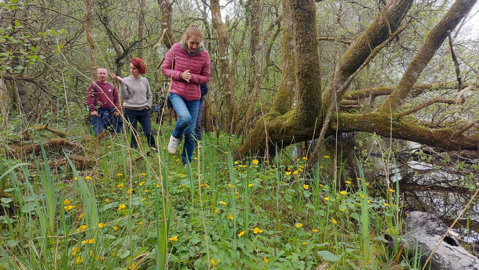 Participants of Biodiversity Training Course Walking through a wood with wildflowers