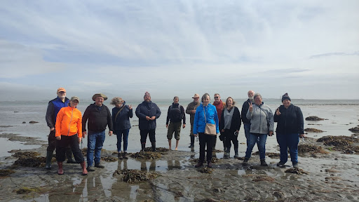 biodiversity protection in county louth